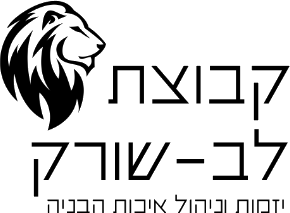 קבוצת לב-שורק